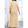 image:imagePlus Size Formal Dress  Evening Gowns Wedding Guest Mother of The Bride Sequin Lace Mermaid Tulle Hem Prom Long DressGold