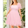 image:imageTalisea Plus Size Square Neck Graduation Summer Casual Sundress Chiffon Swiss Dot Ruffle Flowy Short Smocked DressPink