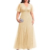image:imagePlus Size Formal Dress  Evening Gowns Wedding Guest Mother of The Bride Sequin Lace Mermaid Tulle Hem Prom Long DressGold