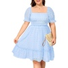 image:imagePlus Size Square Neck Puff Sleeve Swiss Dot Graduation DressLight Blue